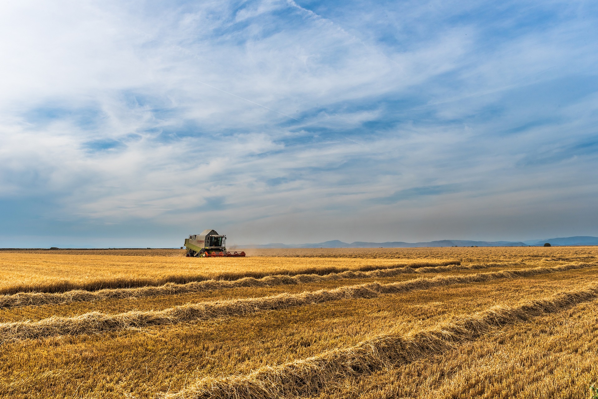 GMO – co warto wiedzieć?