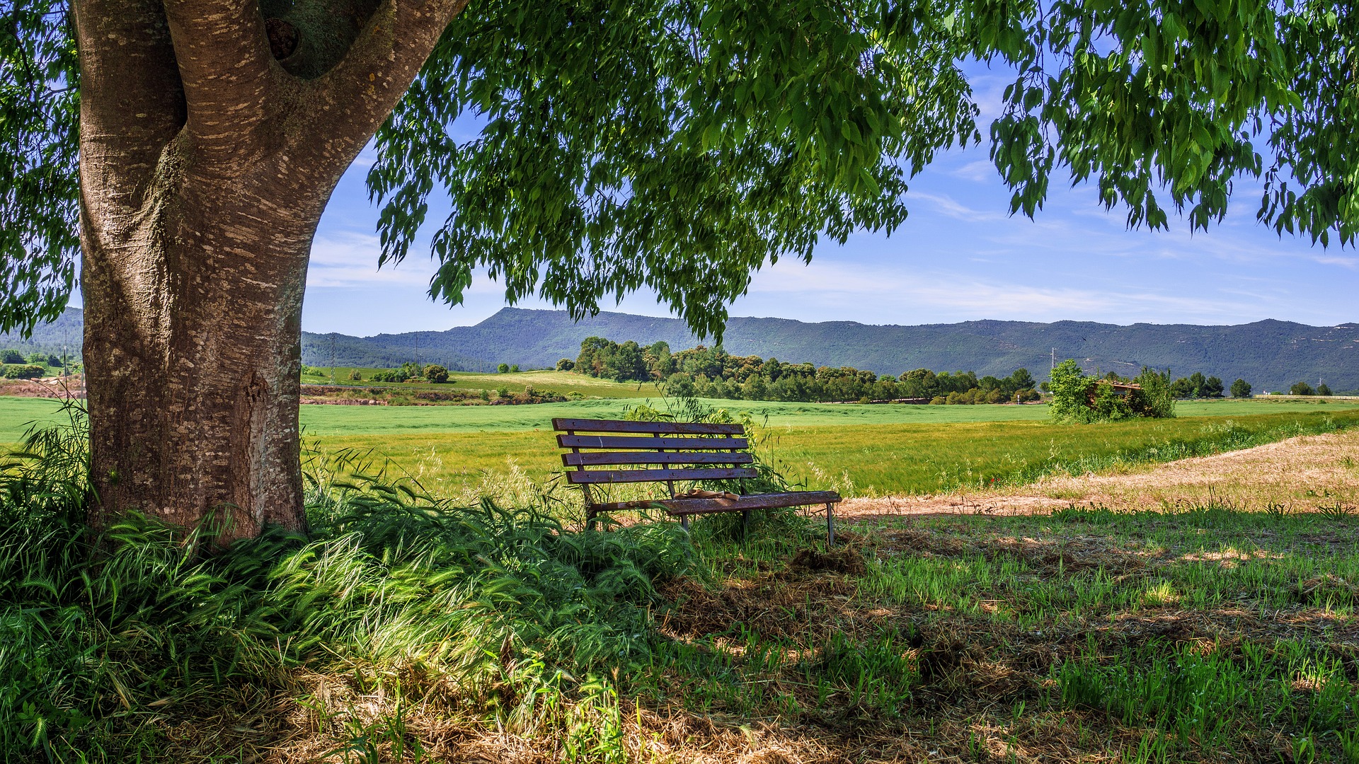 Agroturystyka – czym jest?