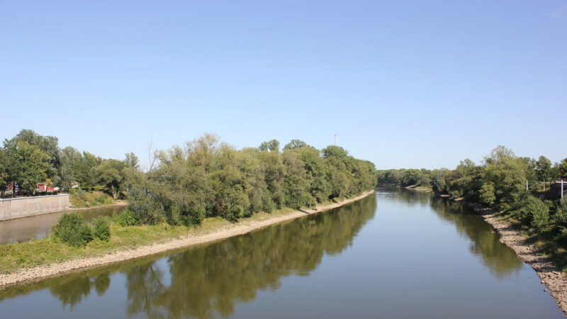 Katastrofa ekologiczna w Odrze. Tysiące śniętych ryb, martwe bobry