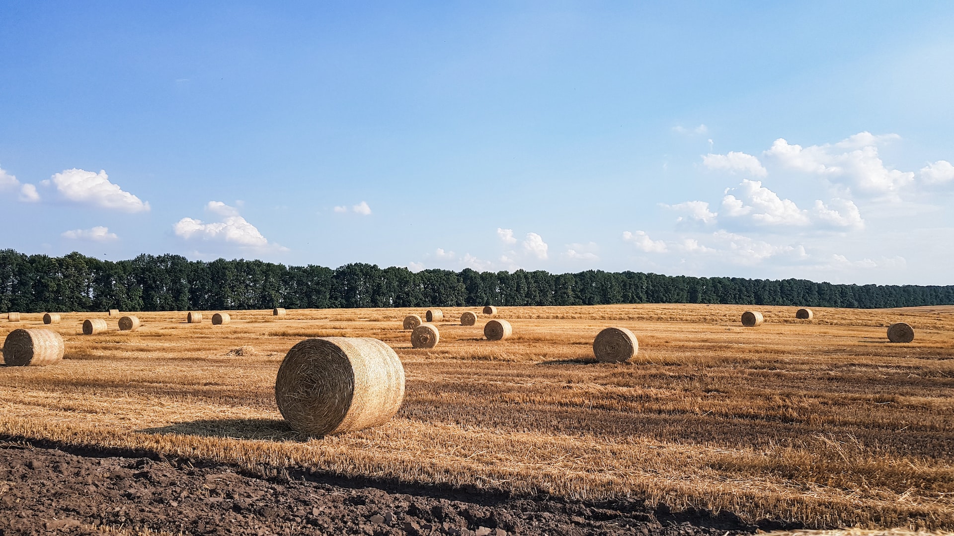 Kalendarz rolnika – co się w nim znajduje?