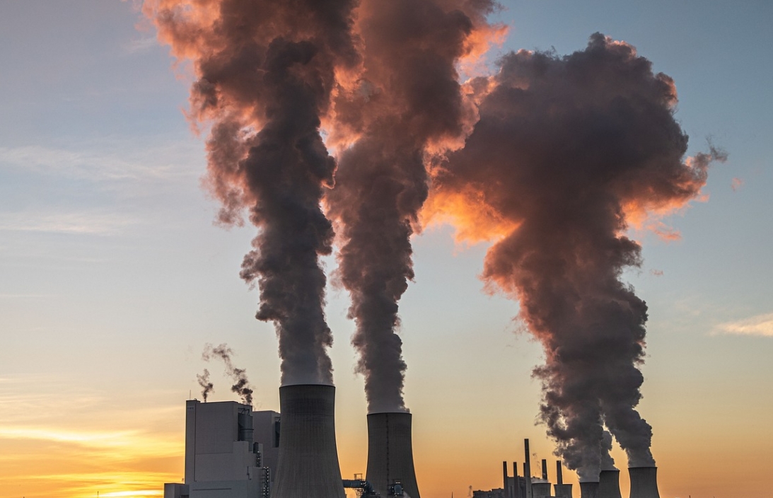 Młodzież aktywnie dąży do stawienia czoła kryzysowi klimatycznemu