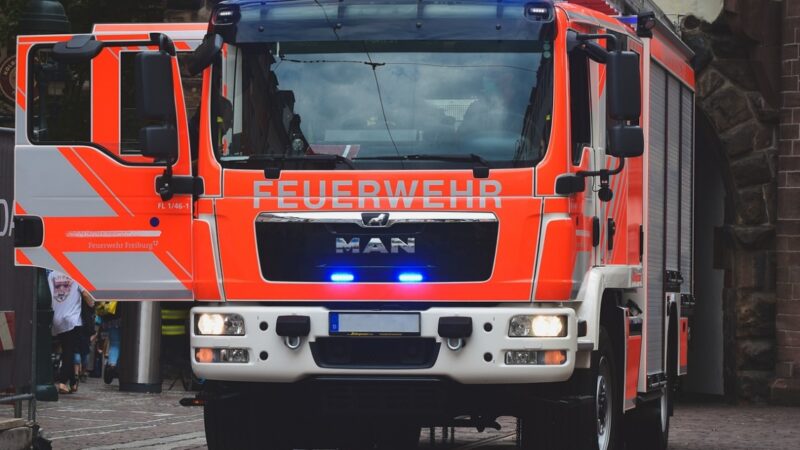Niszczycielska siła ognia – pożar obory w Borku, część zwierząt nie przeżyła