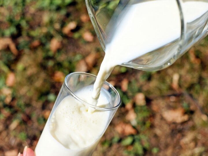 „Siódemka dla mleczarstwa” – ZPPM proponuje siedem postulatów do zrealizowania przez polskie mleczarnie