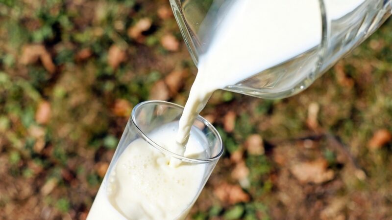 „Siódemka dla mleczarstwa” – ZPPM proponuje siedem postulatów do zrealizowania przez polskie mleczarnie