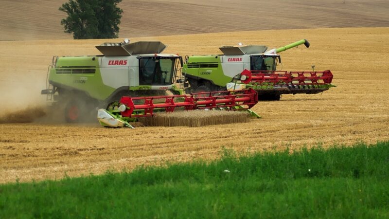Prognozy produkcji zbóż w Polsce na rok 2023 według Komisji Europejskiej