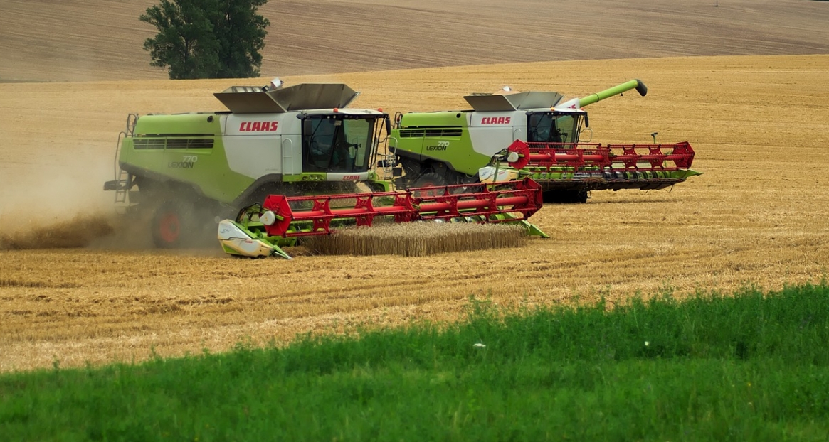 Prognozy produkcji zbóż w Polsce na rok 2023 według Komisji Europejskiej