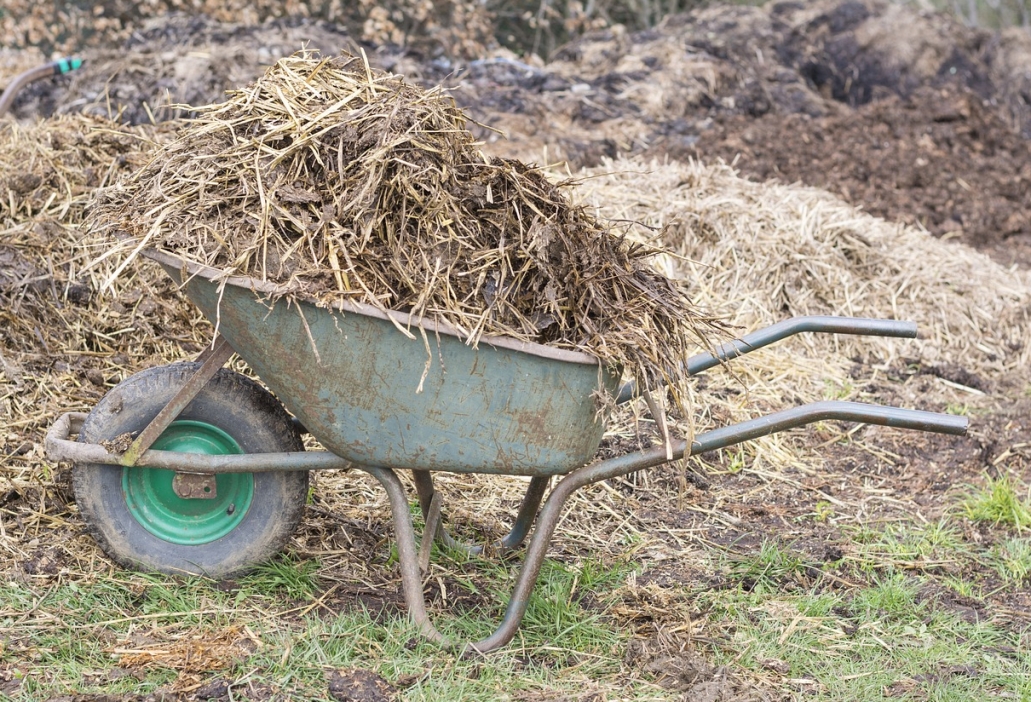 Yarrowia lipolytica – Rewolucyjny nawóz drożdżowy wprowadzany przez AGRARIUS wiosną 2024