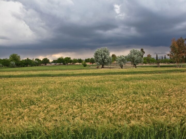 W najbliższym tygodniu pogoda pełna niespodzianek: od wichur do temperatury 15°C