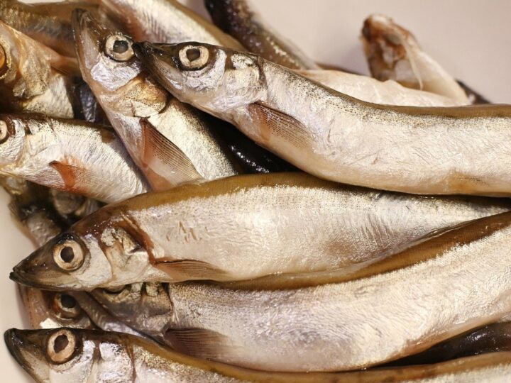 Ryby w diecie – jakie gatunki powinny być unikane?