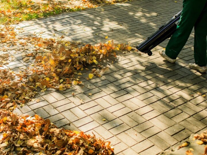 czyszczenie kostki brukowej z mchu: domowe sposoby i środki ochrony roślin