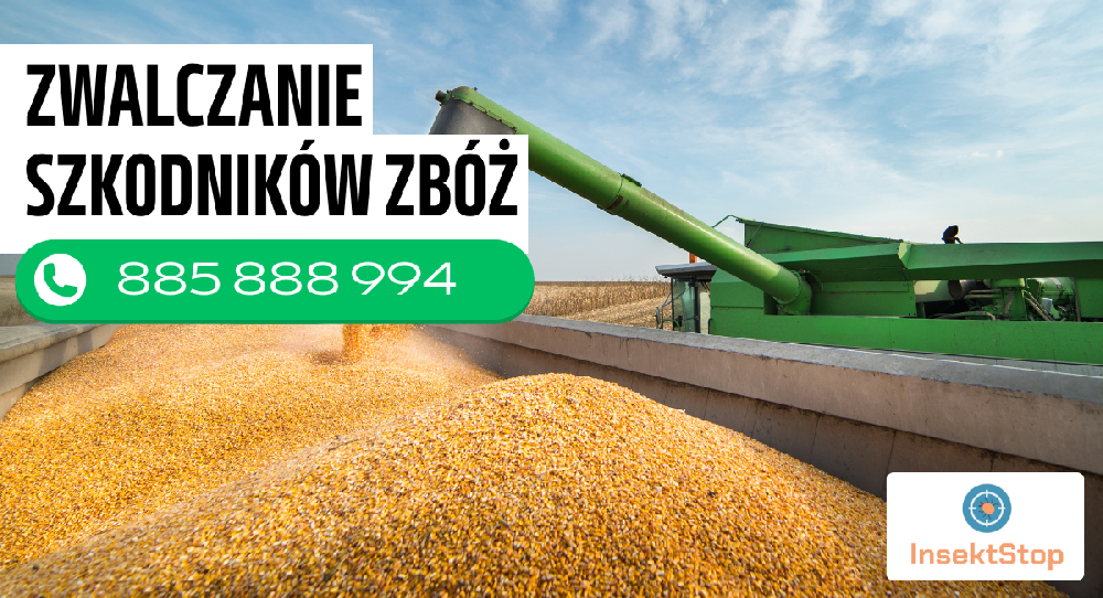 gazowanie silosoów