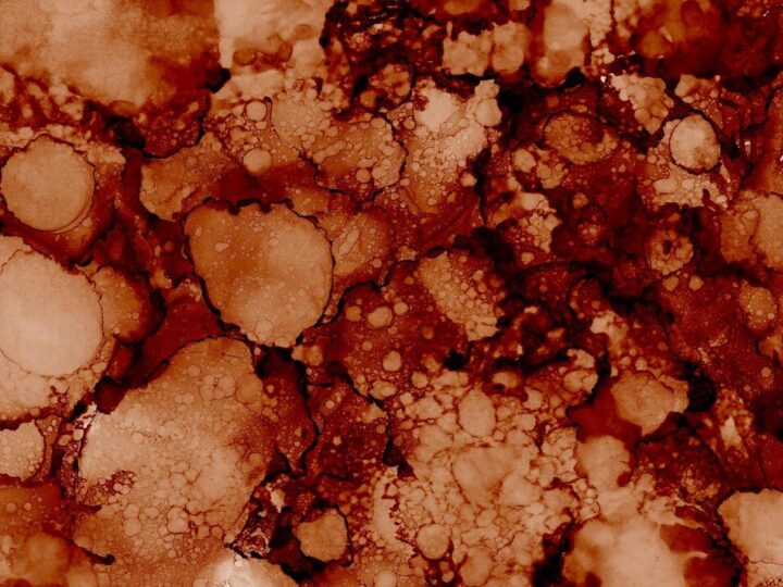 Brunatna zgnilizna drzew pestkowych: przyczyny i metody zapobiegania