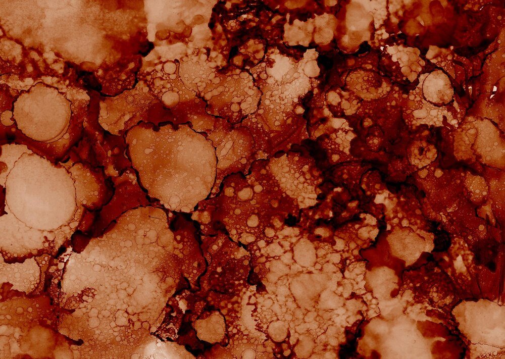 Brunatna zgnilizna drzew pestkowych: przyczyny i metody zapobiegania