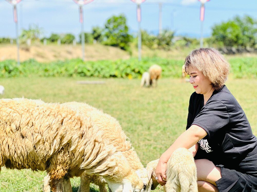 Hodowla owiec w Polsce: rasy, opłacalność i dopłaty