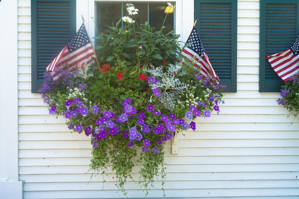 Kwiaty na balkon południowy: jakie wybrać?