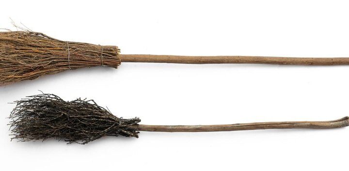 Miotła zbożowa: jak rozpoznać i skutecznie zwalczać