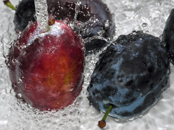 Oprysk na choroby śliw węgierki – kiedy i czym pryskać?