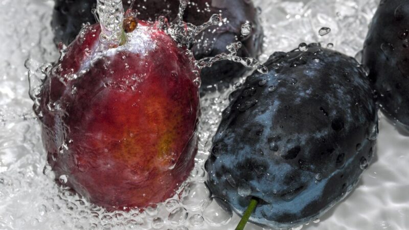 Oprysk na choroby śliw węgierki – kiedy i czym pryskać?