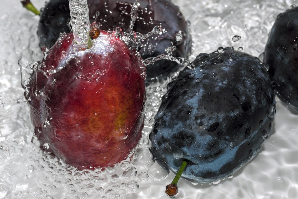 Oprysk na choroby śliw węgierki – kiedy i czym pryskać?