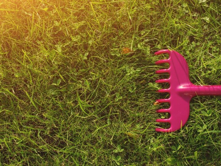 Piaskowanie trawnika – kiedy, jak i dlaczego warto to robić