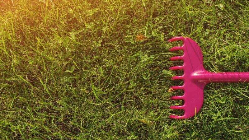 Piaskowanie trawnika – kiedy, jak i dlaczego warto to robić