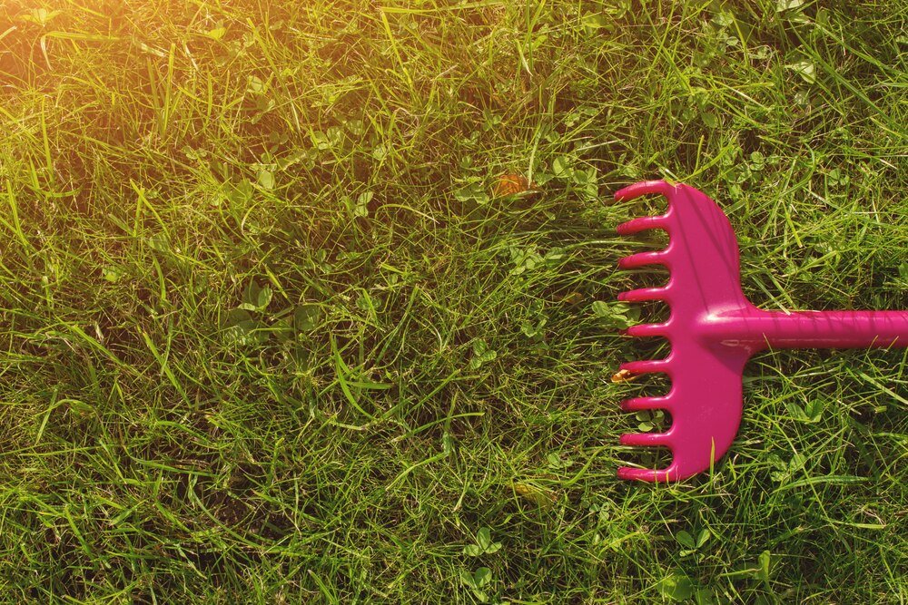 Piaskowanie trawnika – kiedy, jak i dlaczego warto to robić