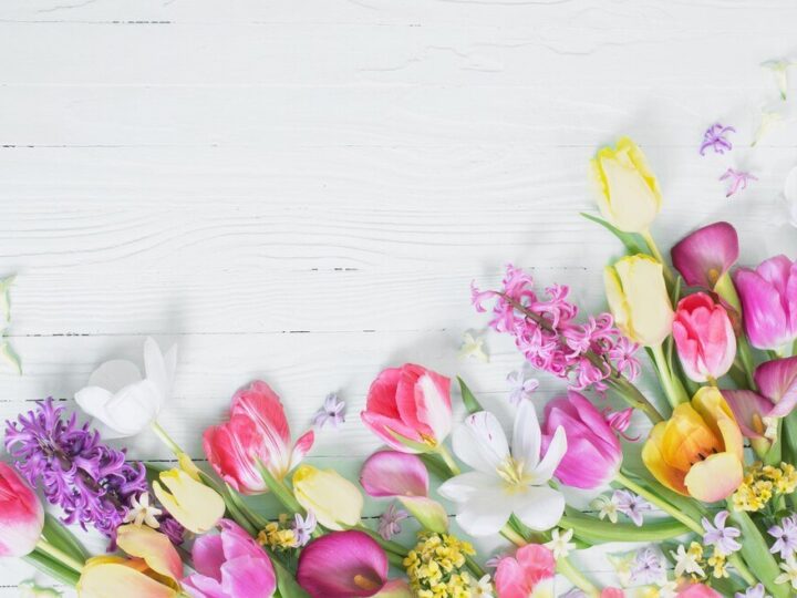 Pierwsze wiosenne kwiaty w ogrodzie: jakie wybrać i jak je pielęgnować?