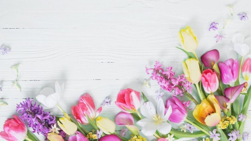 Pierwsze wiosenne kwiaty w ogrodzie: jakie wybrać i jak je pielęgnować?