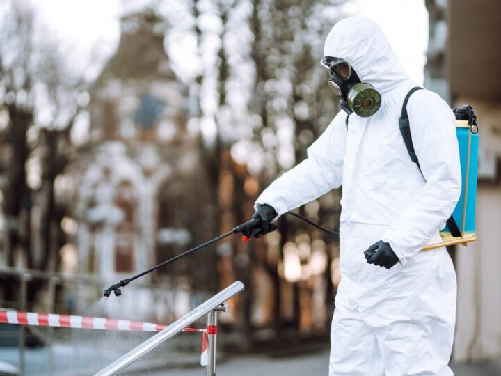 Turkuć podjadek – skuteczne metody zwalczania i ochrona roślin