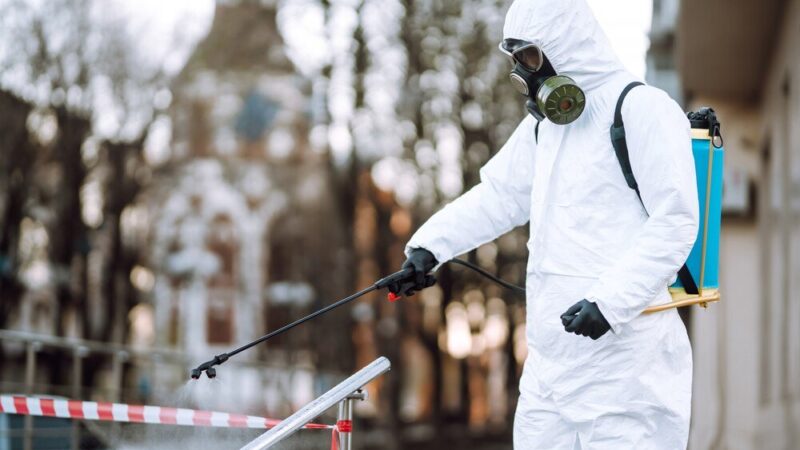 Turkuć podjadek – skuteczne metody zwalczania i ochrona roślin