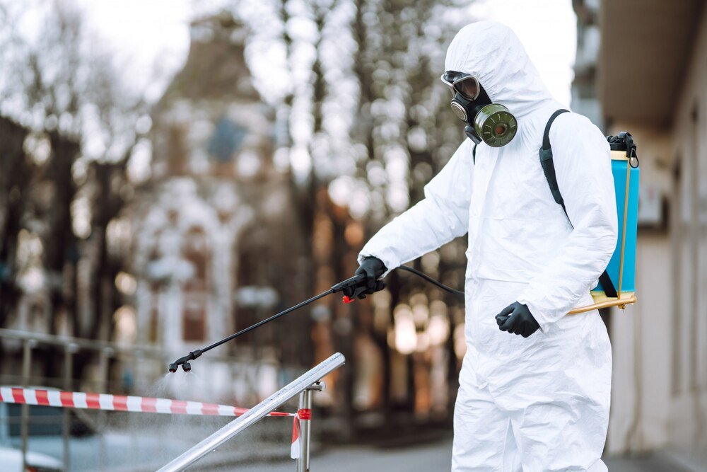 Turkuć podjadek – skuteczne metody zwalczania i ochrona roślin