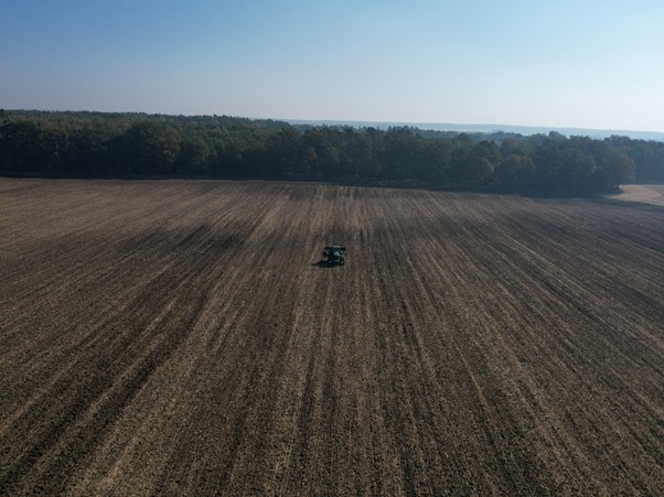 Wapno granulowane w nowoczesnym rolnictwie – jak wpływa na plony i żyzność gleby?