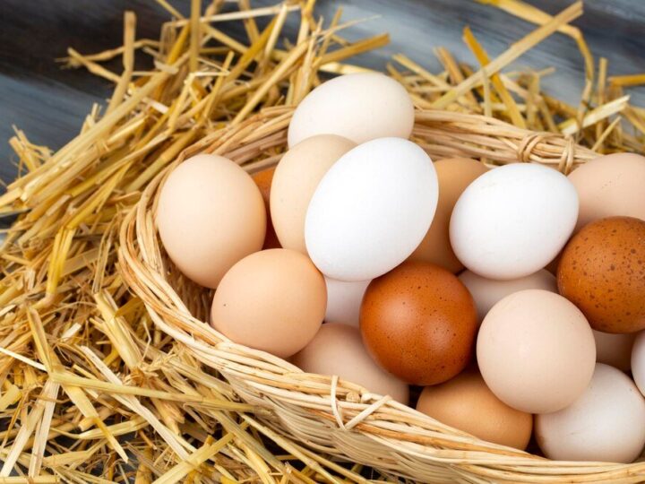 Dlaczego kury znoszą małe jajka?