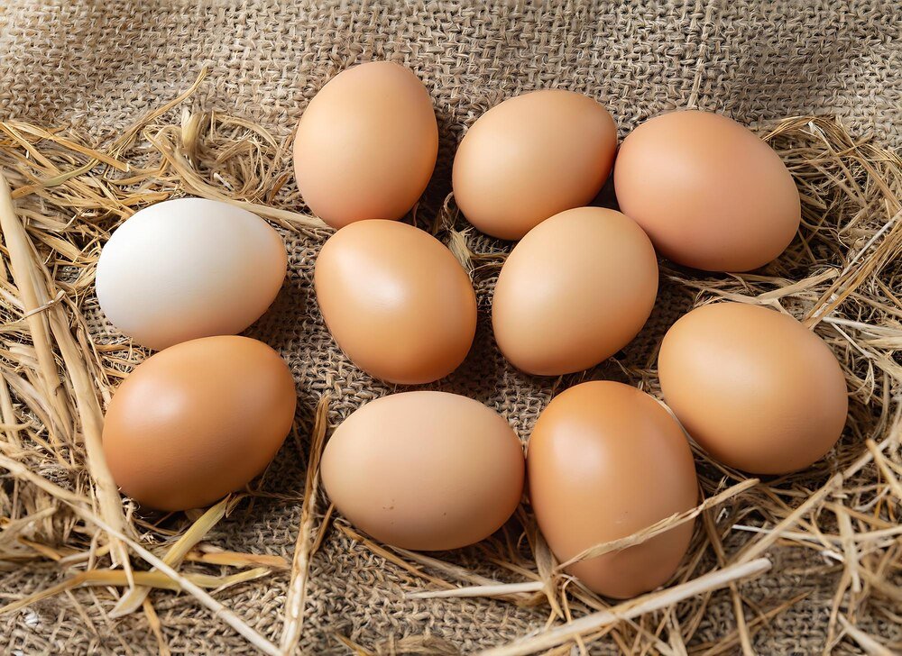 Ile jajek dziennie znosi kura?