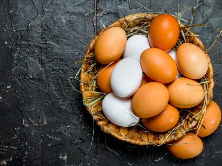 Inkubacja jaj kurzych krok po kroku