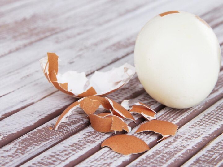 Od czego zależy kolor skorupki jajka?