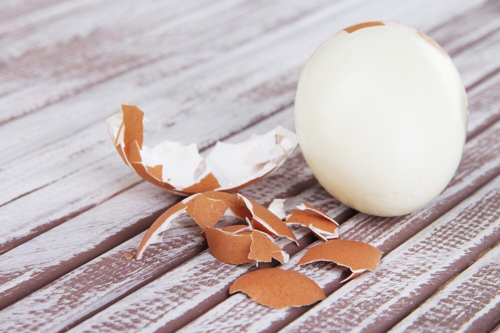 Od czego zależy kolor skorupki jajka?