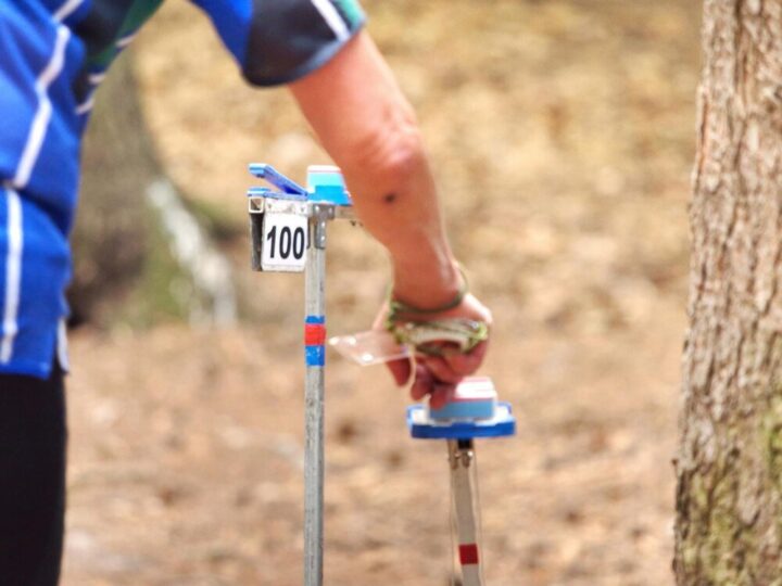 Ile to jest hektar – wymiary i przeliczniki