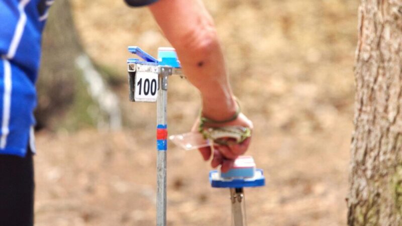 Ile to jest hektar – wymiary i przeliczniki