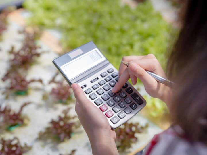 Jak obliczyć dochód z gospodarstwa rolnego – praktyczny poradnik krok po kroku