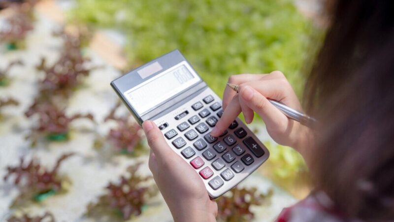 Jak obliczyć dochód z gospodarstwa rolnego – praktyczny poradnik krok po kroku