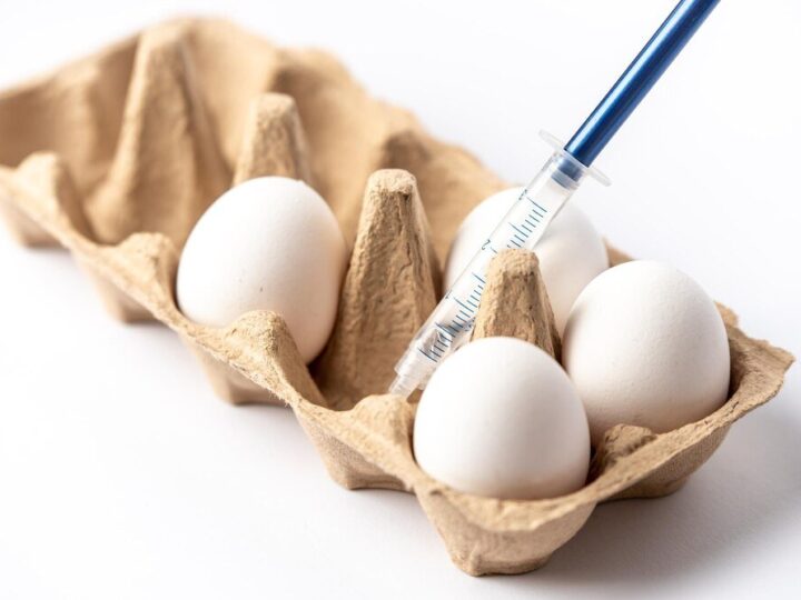 Jak sprawdzić czy jajko jest świeże – proste domowe sposoby