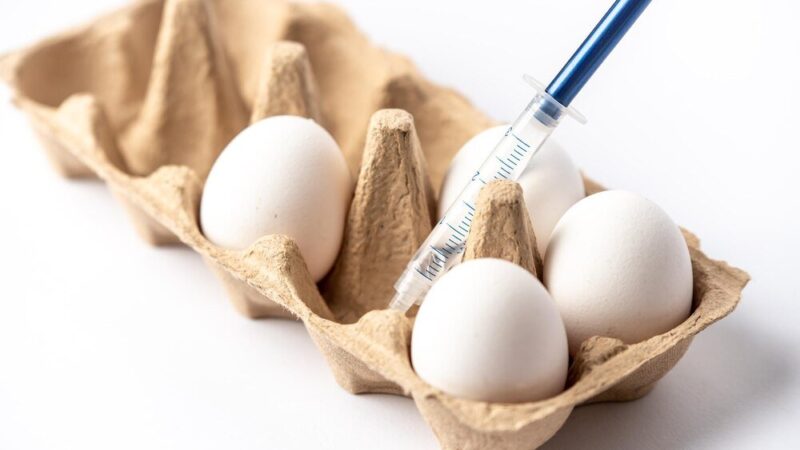 Jak sprawdzić czy jajko jest świeże – proste domowe sposoby