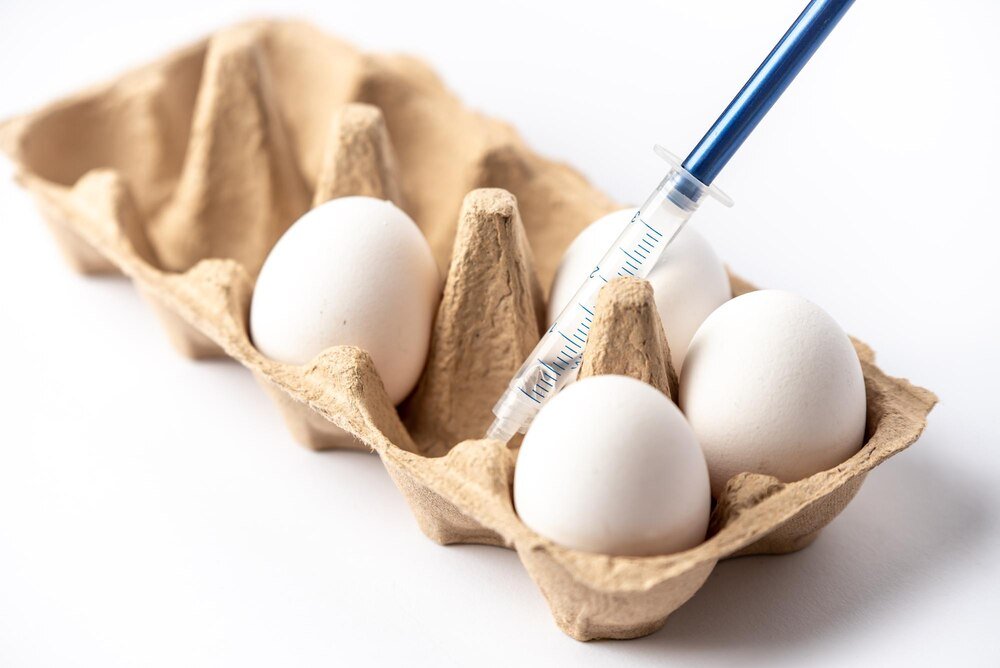 Jak sprawdzić czy jajko jest świeże – proste domowe sposoby