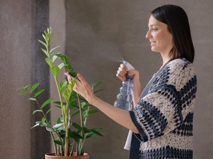 Zwalczanie mączniaka prawdziwego w uprawach roślinnych