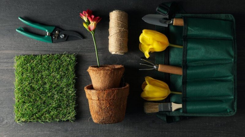 Agrotkanina czy agrowłóknina – co wybrać do ogrodu?