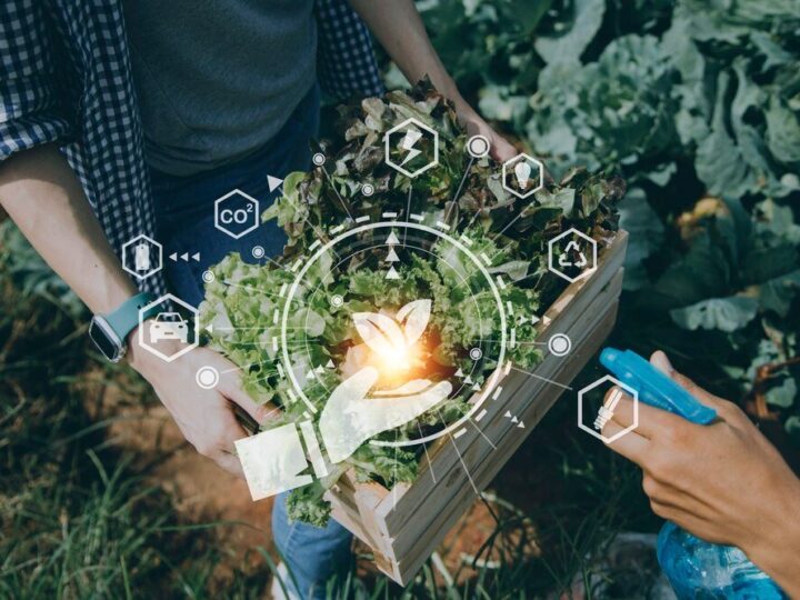 Cechy rolnictwa ekologicznego – zasady i wymagania