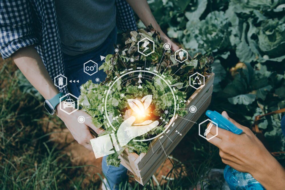 Cechy rolnictwa ekologicznego – zasady i wymagania