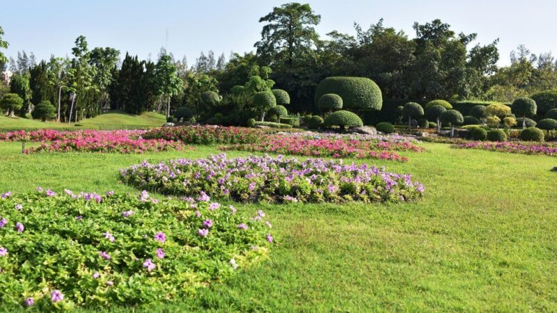 Czego nie lubi turkuć podjadek – skuteczne sposoby na odstraszanie