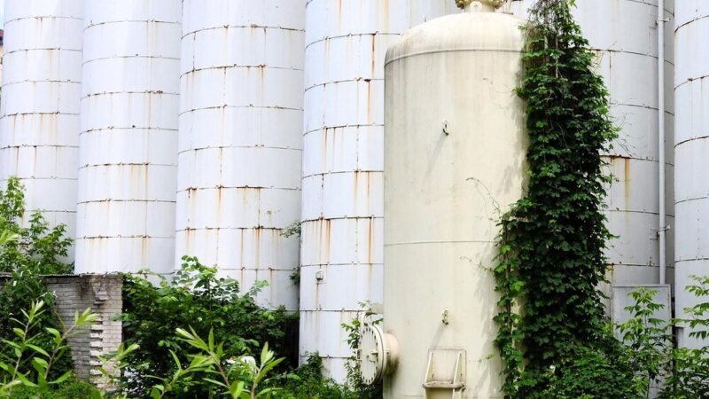 Czy biogazownia śmierdzi – fakty, mity i realia